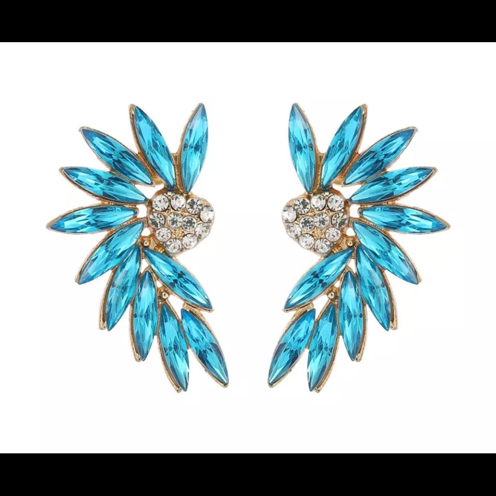 Beautiful blue earrings
